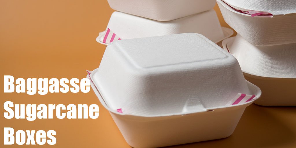 Bagasse (Sugar Cane) Takeaway Boxes