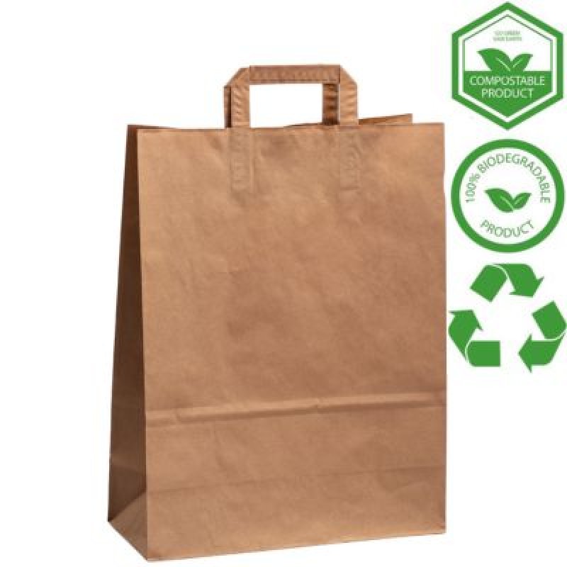 Plain Large Brown  Twisted Handle Paper Bags