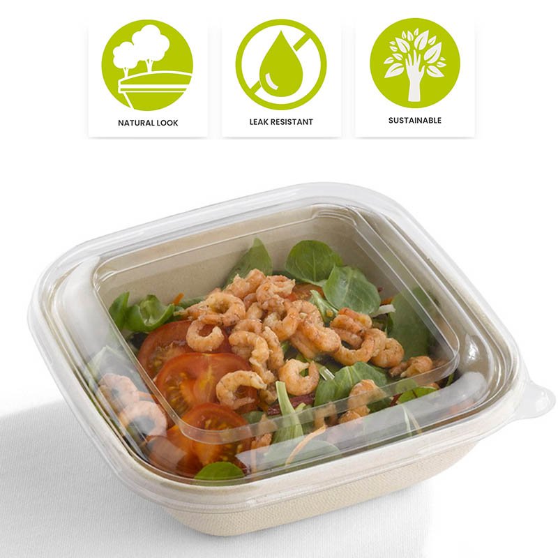 NEW: BePulp MEAL BOX TO GO packaging - Sabert